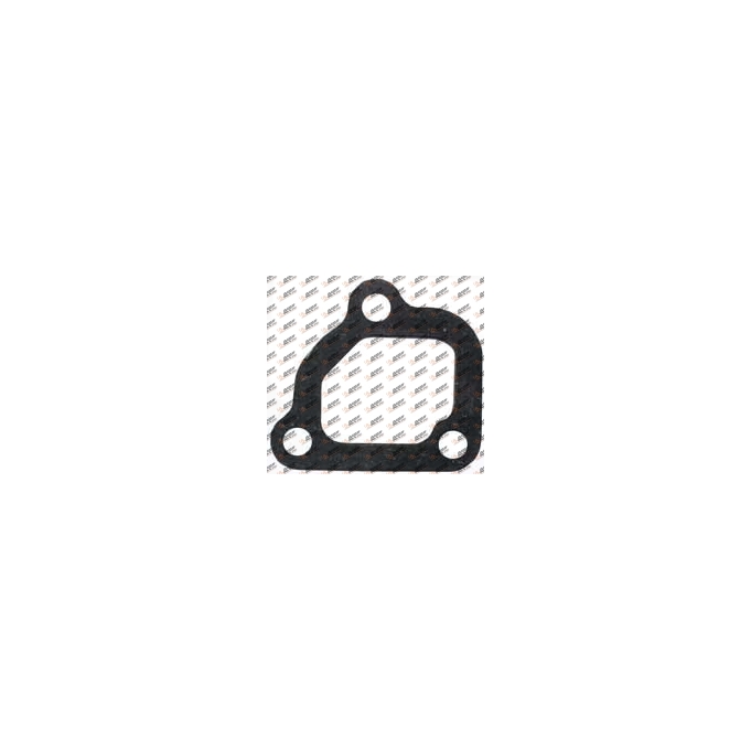 Gasket, 300.077, 