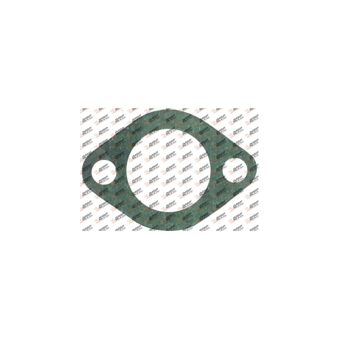 Gasket, 300.202, 