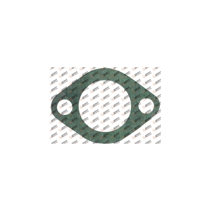 Gasket, 300.202, 