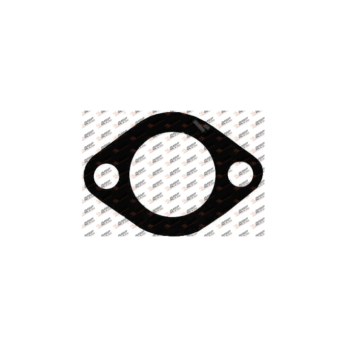 Gasket, 299.202, 
