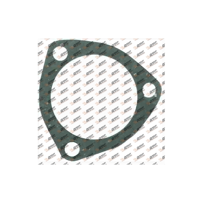 Gasket, 299.401, 