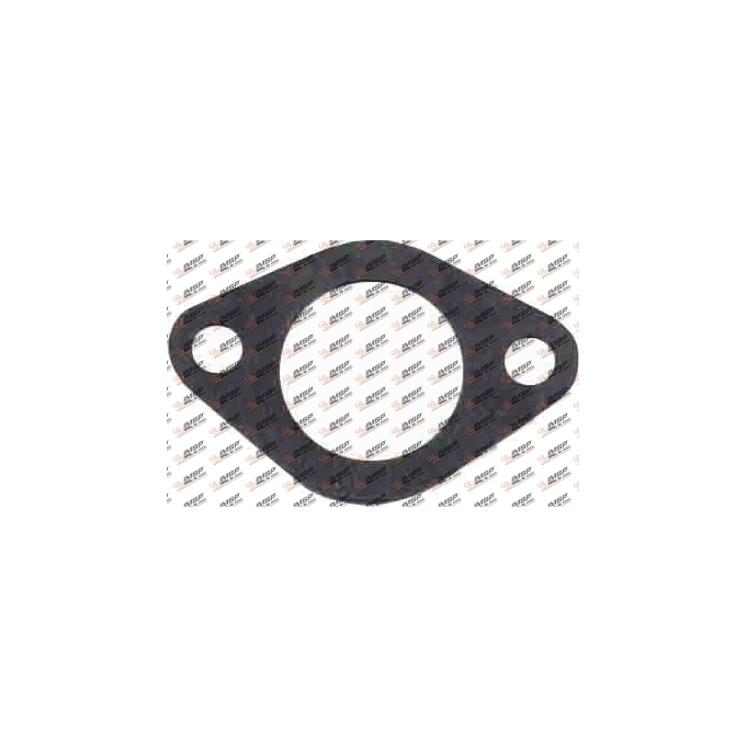 Gasket, 299.403, 