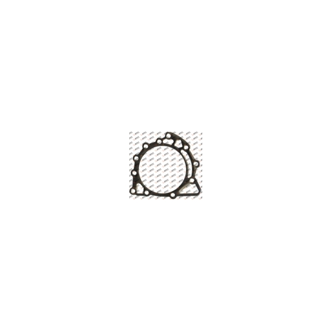 Gearbox gasket, 922.704-1, 