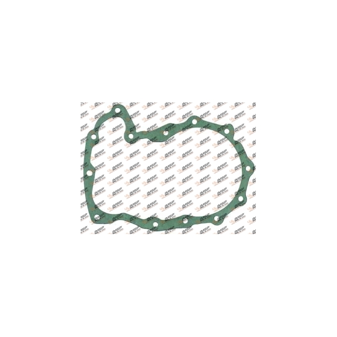 Gearbox gasket, 919.702, 