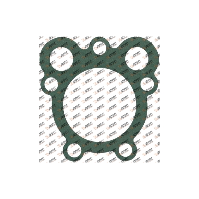 Retarder gasket, H124.7339, 