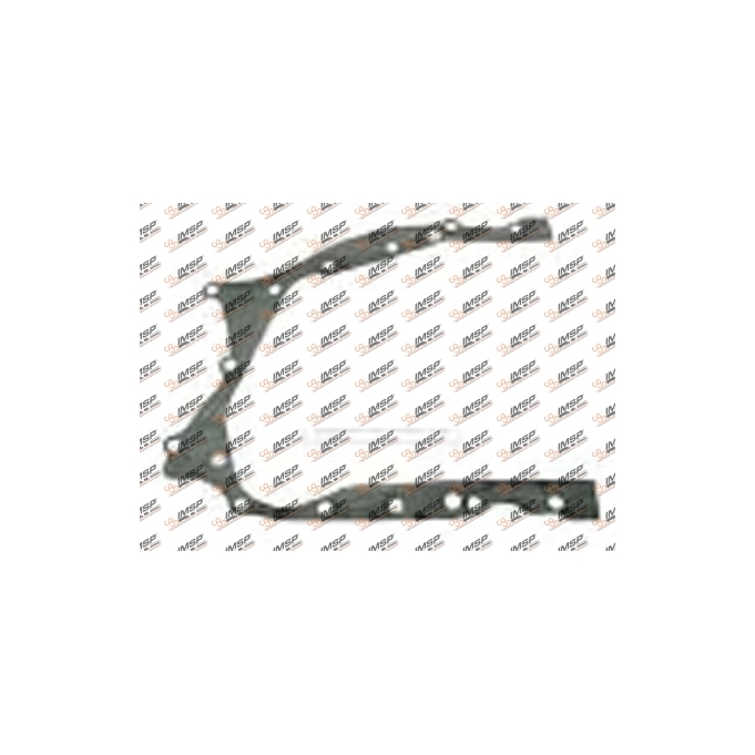 Timing case gasket, DC11.011, 