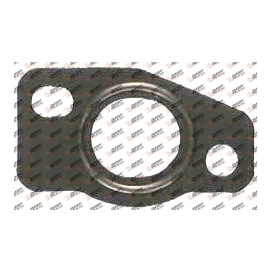 Gasket, DS14.085-1, 