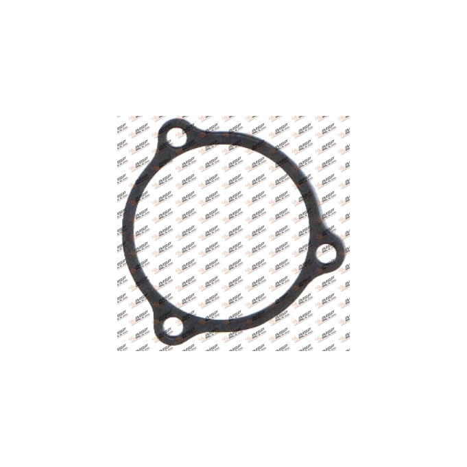 Gasket, DS14.409, 