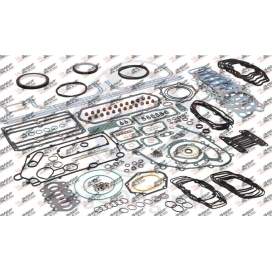 Engine repair gasket kit, D12.100-1, 