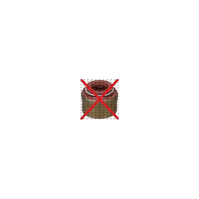 Cylinder repair kit gasket, 442.101, 