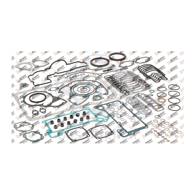 Engine repair kit gasket, 401.100-OT, 