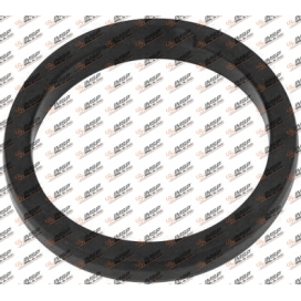 Seal ring, RN450.2258, 21532258