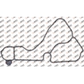 Oil cooler gasket
