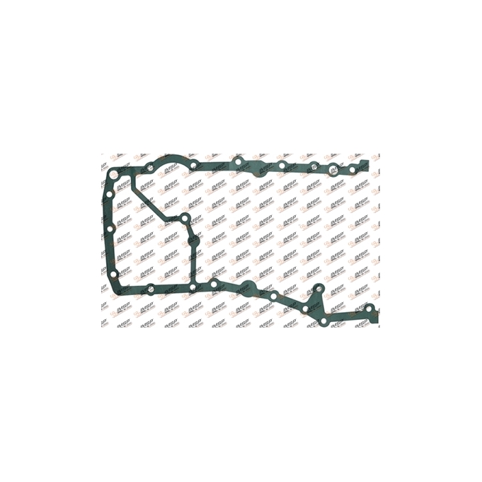 Timing case gasket, DC9.011, 366540, 1320296