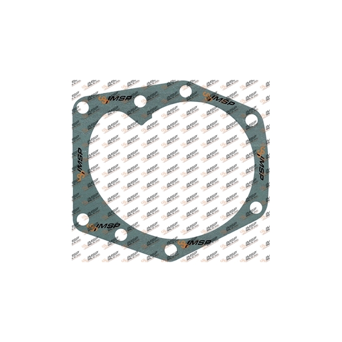 Water pump gasket, DC9.131, 366556, 1384468