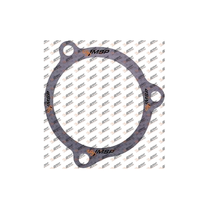 Gasket, DC9.155, 366548