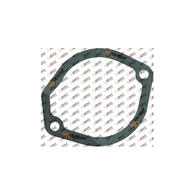 Gasket, DC9.301, 