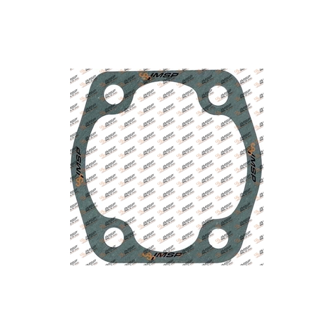 Rotor gasket, DC9.2196, 