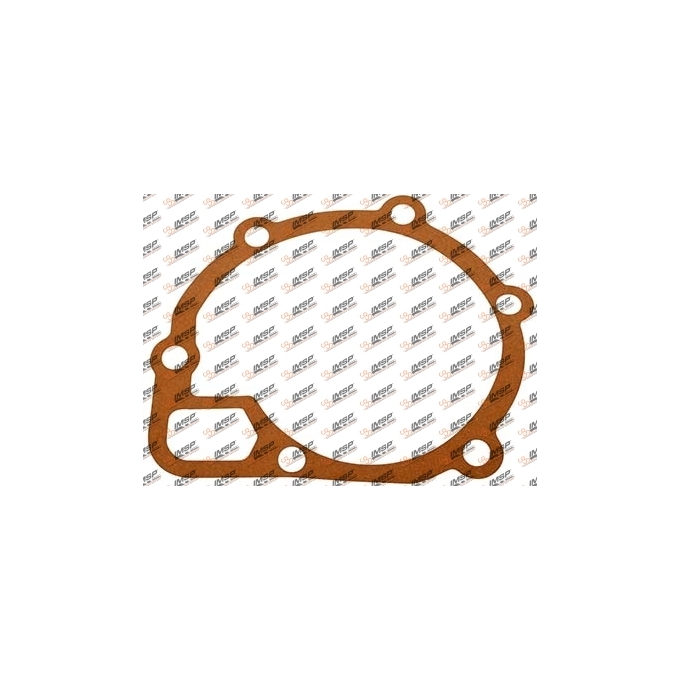 Water pump gasket, DC11.131, 231795
