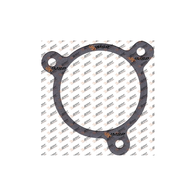 Gasket, DC11.153, 