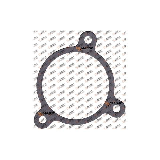 Gasket, DC11.154, 