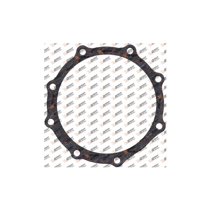 Gasket, DC11.190, 