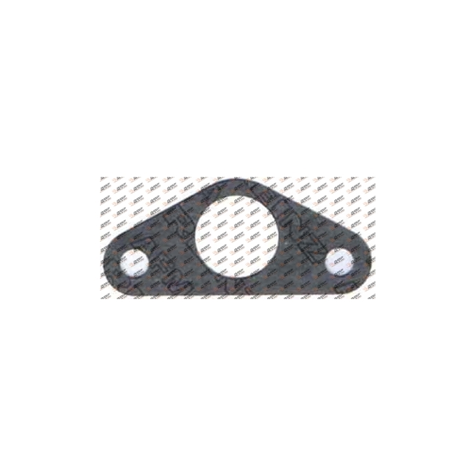 Gasket, DC11.309, 