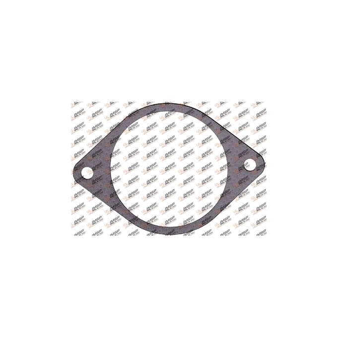 Gasket, DC11.405, 