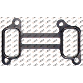 Intake manifold gasket, DC16.150, 2181274, 381.990, 714291800