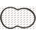 Tehermostat gasket