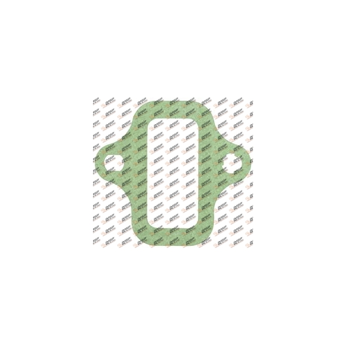 Intake manifold gasket, DS14.150, 