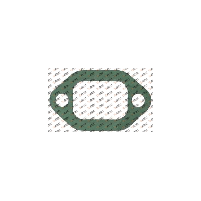 Intake manifold gasket, DS14.403, 