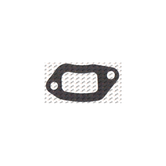 Gasket, DS14.404, 