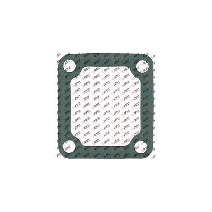Gasket, DS14.406, 