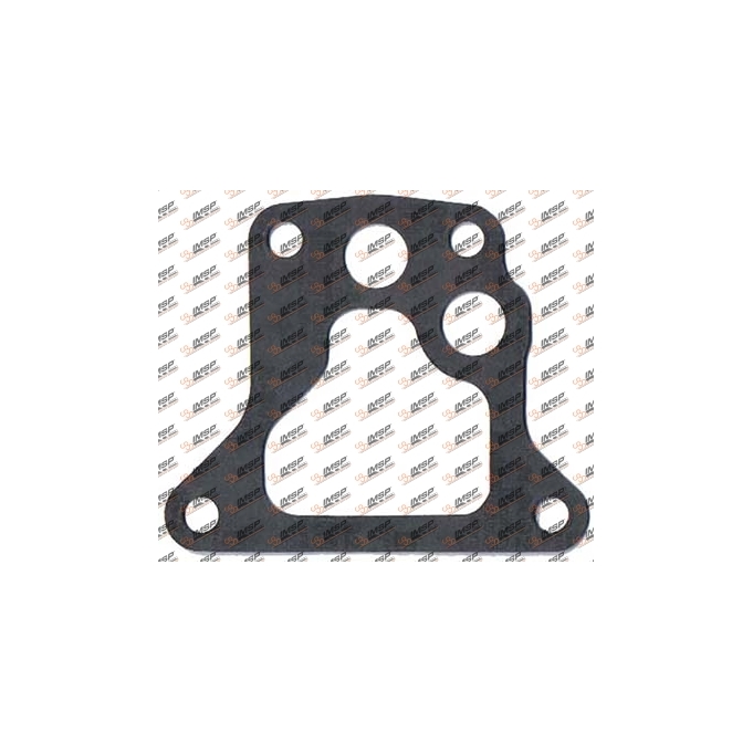 Gasket, DS14.407, 