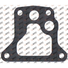 Gasket, DS14.407, 