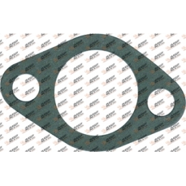 Gasket, DS14.411, 