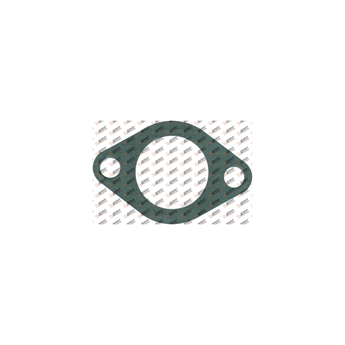 Gasket, DS14.412, 
