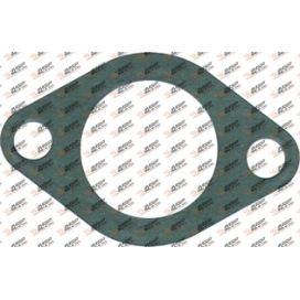 Gasket, DS14.412, 