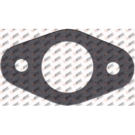 Gasket, DS14.413, 