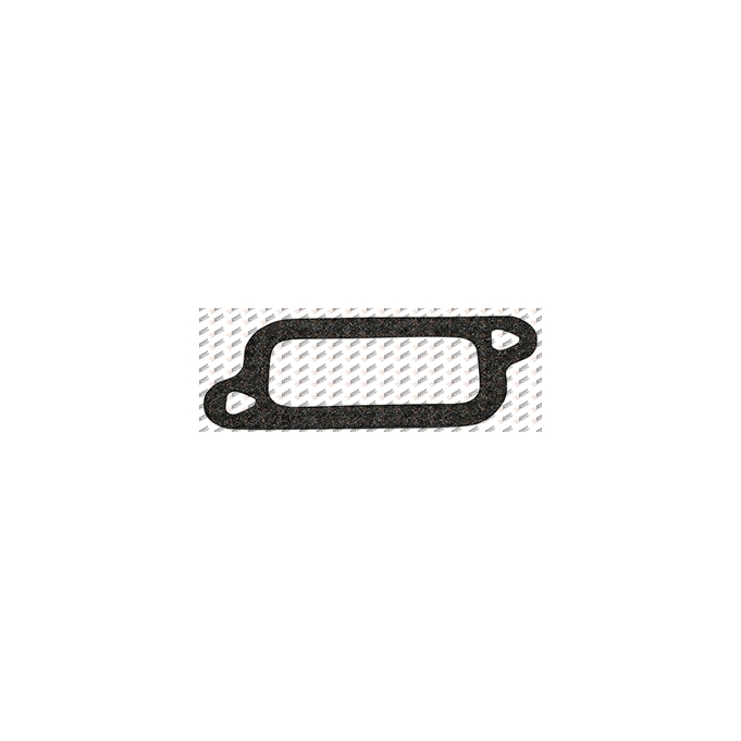 Intake manifold gasket, D12.151, 