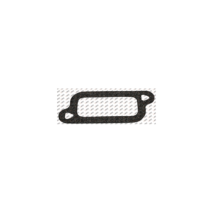 Intake manifold gasket, D12.151, 