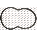 Thermostat housing gasket