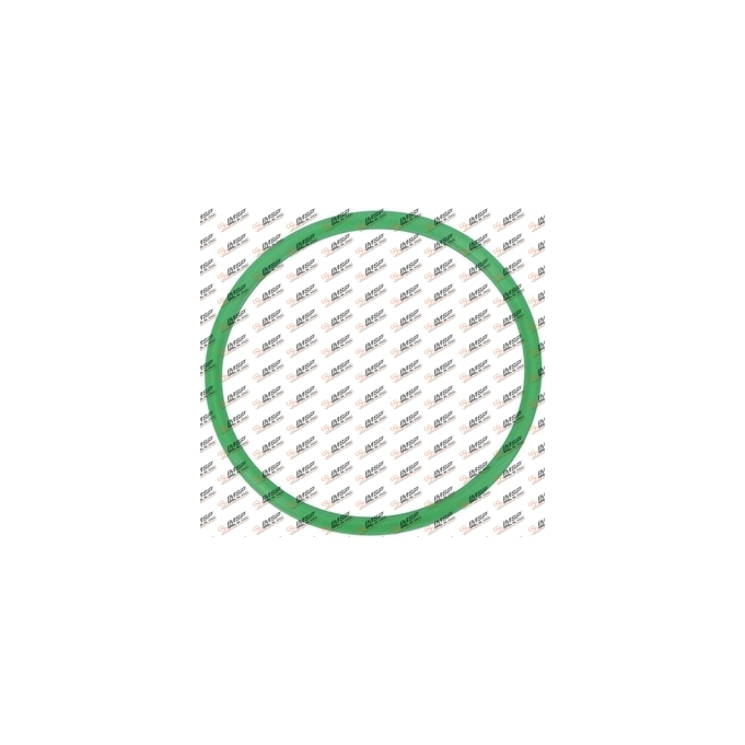 O-ring, DC12.072, 