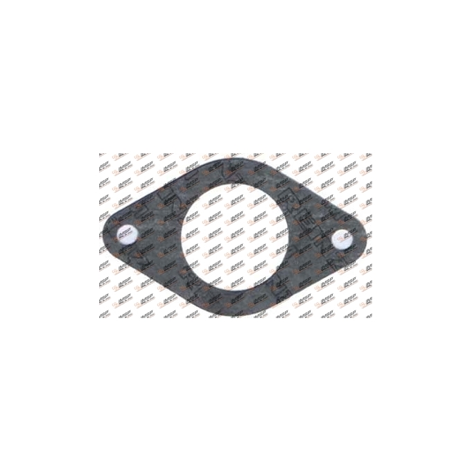 Gasket, DC11.310, 