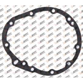 Gasket, DS14.011, 