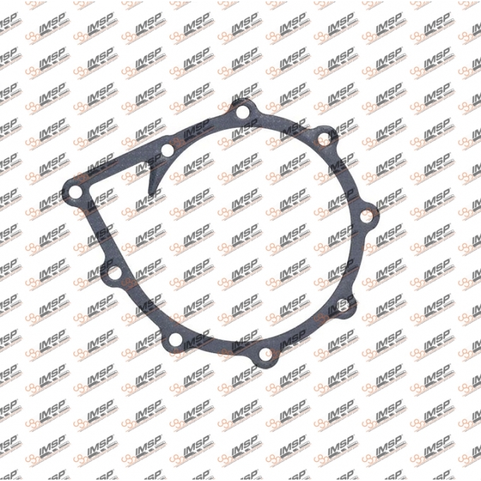 Gasket water pump, 2066.131-2, 021250, 51069010192
