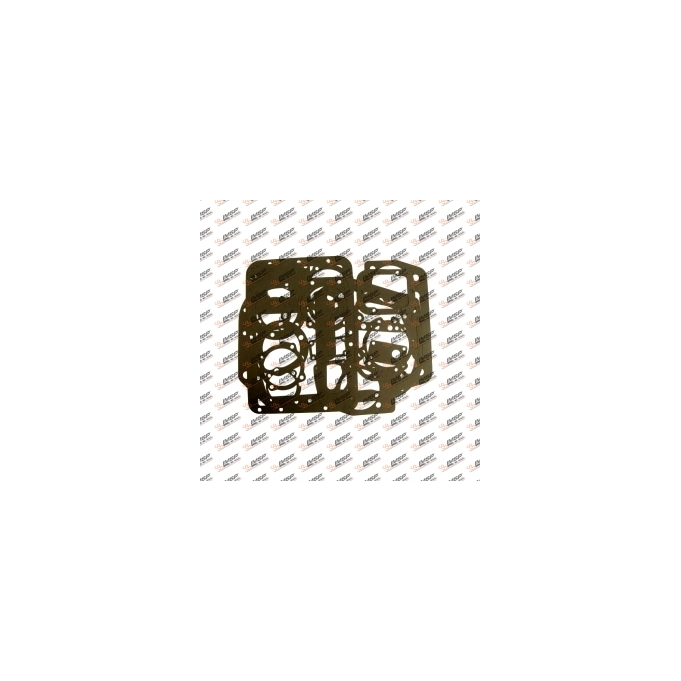 Gearbox repair kit gasket, 920.100, 