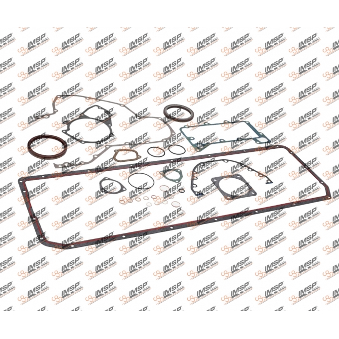 Engine repair kit gasket, 460.100-C, 