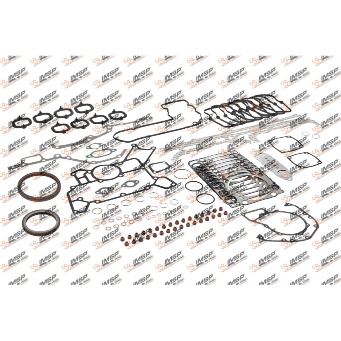 Engine repair kit gasket, 542.100.1, 